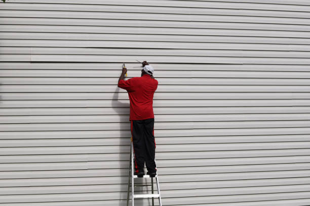 Best Custom Siding Design  in Hebron, KY